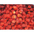 IQF congelant la fraise organique HS-16090902